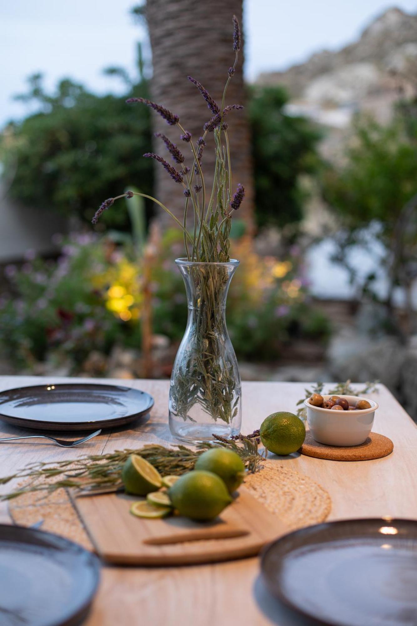 Levantes House Mykonos Ano Mera Eksteriør billede